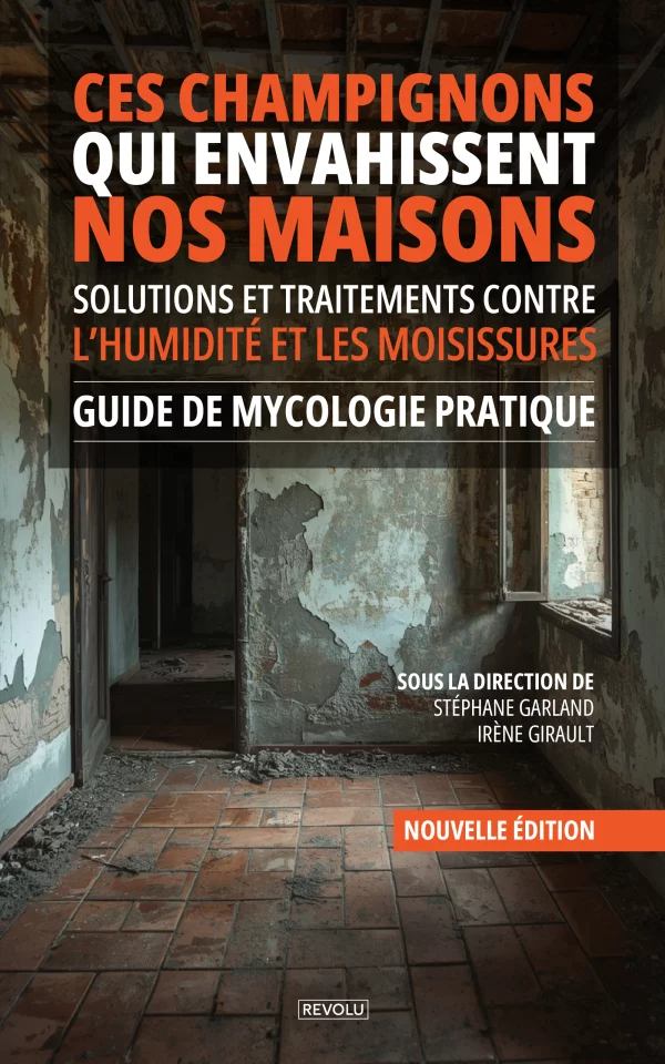 Ces champignons qui envahissent nos maisons