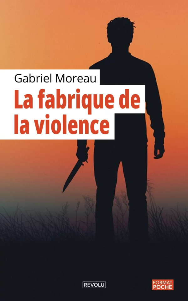 La fabrique de la violence