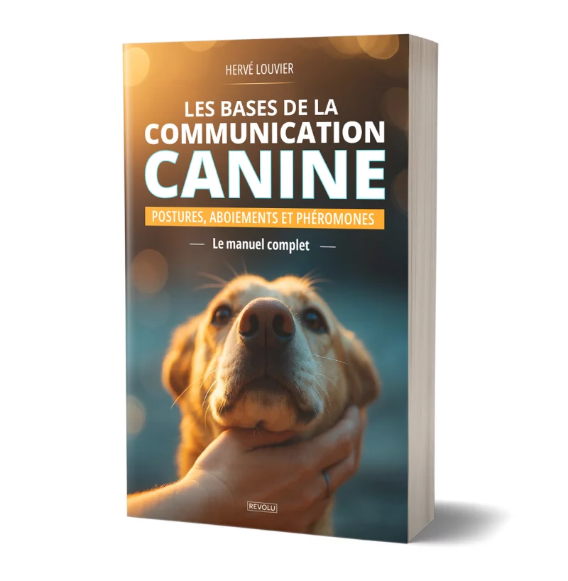 Les bases de la communication canine par Hervé Louvier - Éditions Revolu