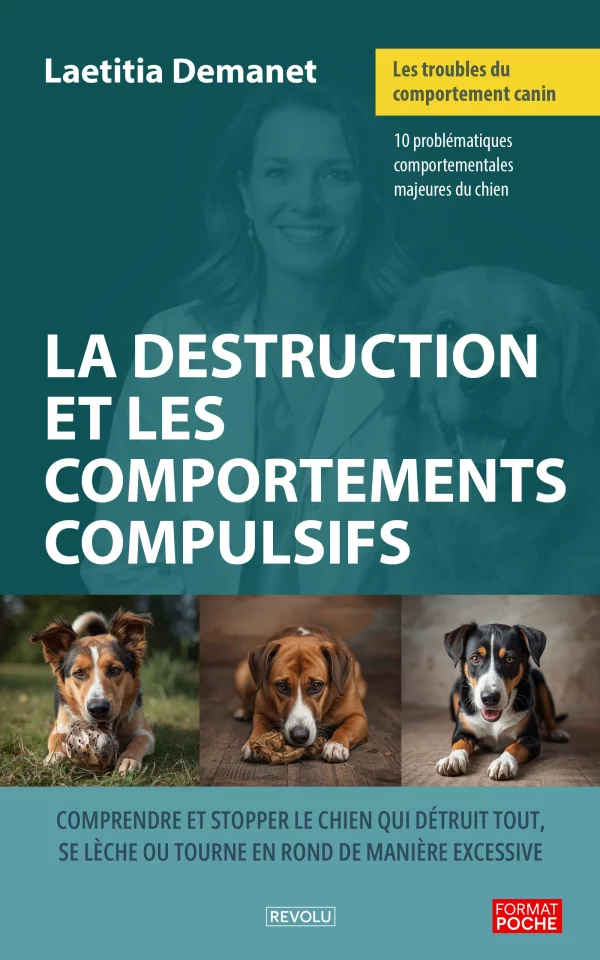 Les troubles du comportement canin – La destruction et les comportements compulsifs