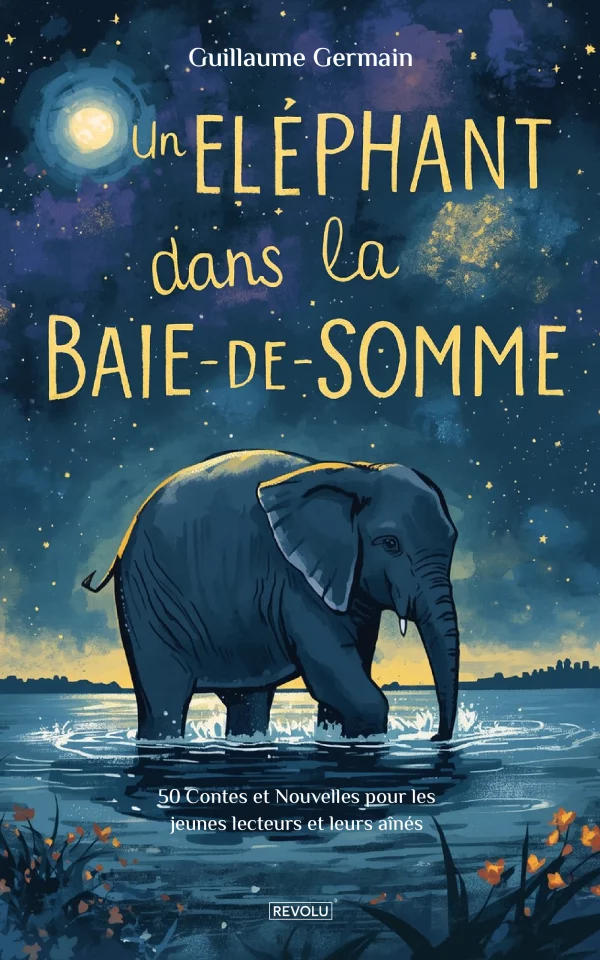 Un éléphant dans la Baie-de-Somme